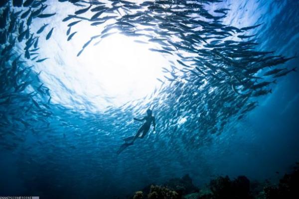 如皋中考体育培训机构选择攻略(图1)